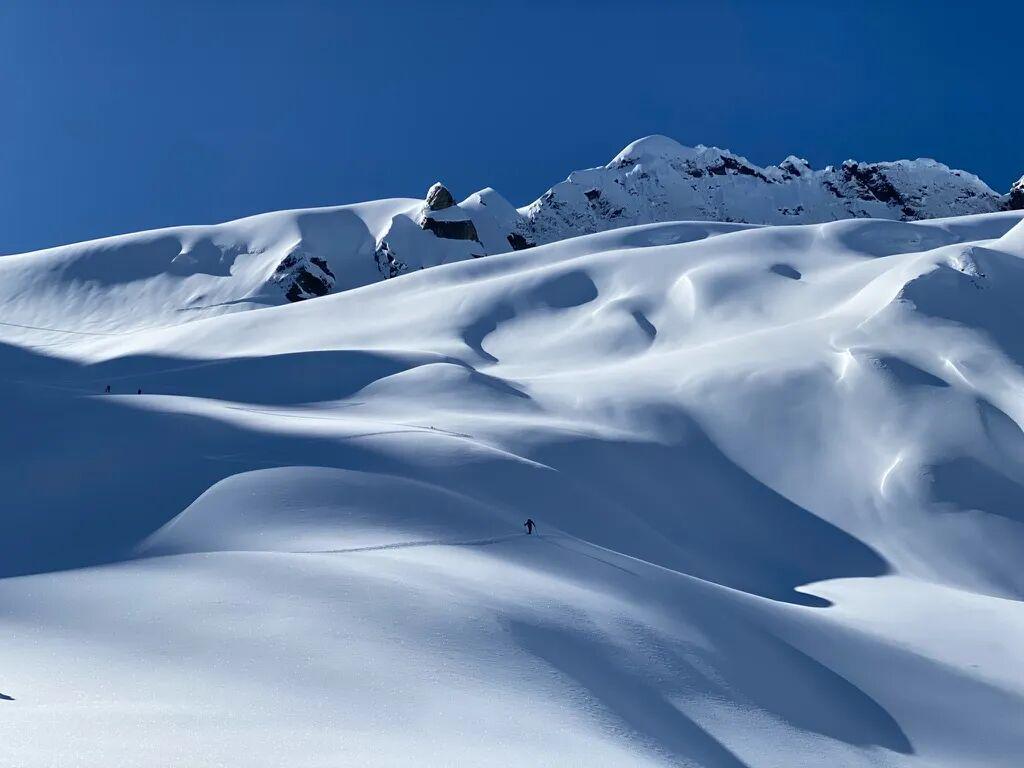 安卓版-滑雪不往下滑？奥运赛场上的“上坡冲刺”到底在比什么